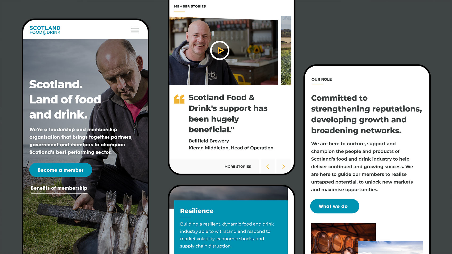 SFD Website Mobile Showcase