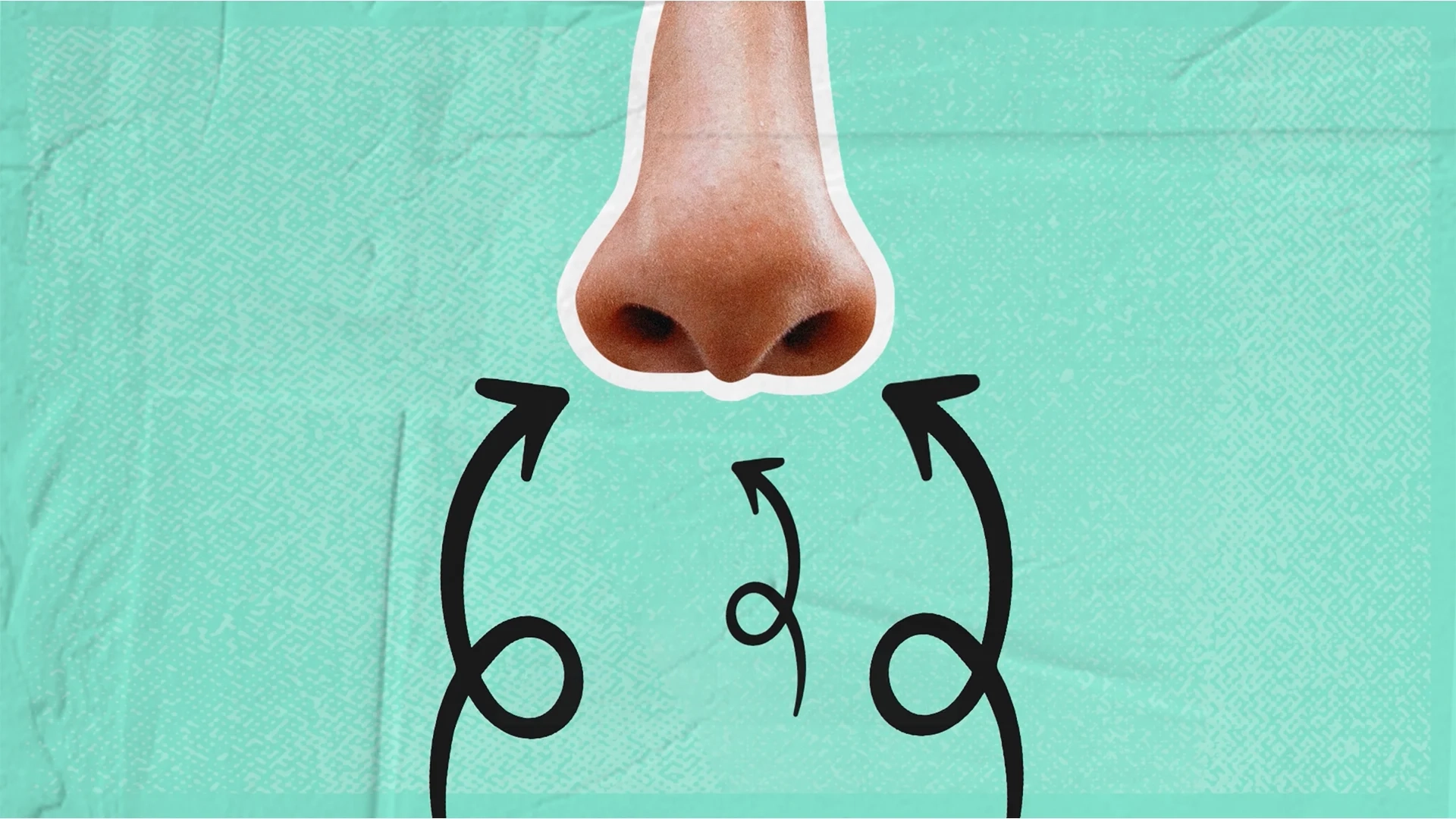 A Wee Scoosh Feature